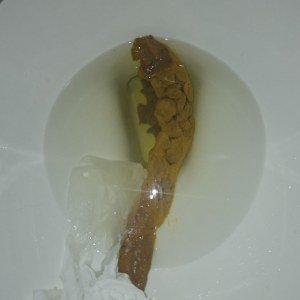Epic Log